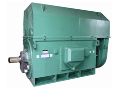 平利Y系列6KV高压电机